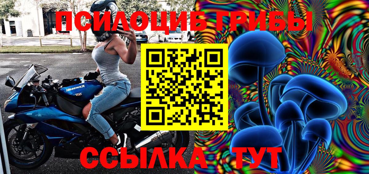 Можайск  Псилоцибиновые грибы мицелий  Вход с VPN 